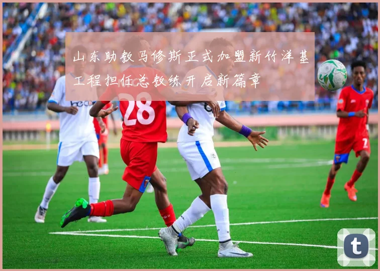 山东助教马修斯正式加盟新竹洋基工程担任总教练开启新篇章